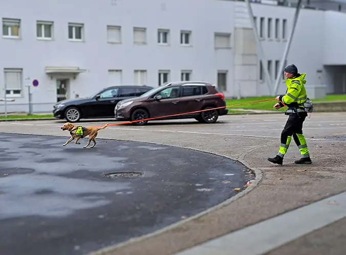 Einsatz in Linz: Cookie bei der Suche