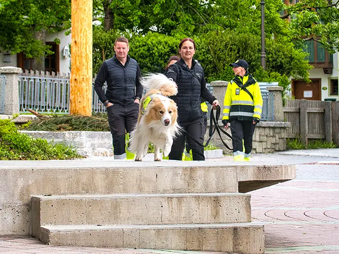 Vollste Konzentration bei Mensch und Hund: Border Collie-Bub Makani mit seiner Hundeführerin beim Trainings-Trail.