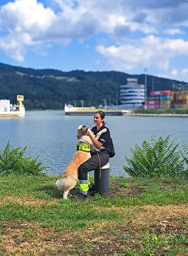 Border Collie Makani genießt das Kuscheln während einer Trainingspause