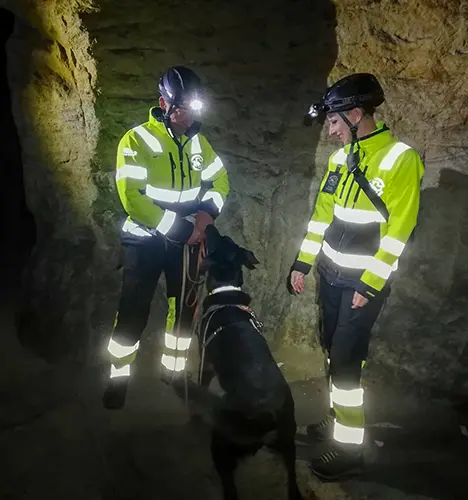 Training: Die Suche in einem Stollen ist für Beauceron-Dame Qamar kein Problem.