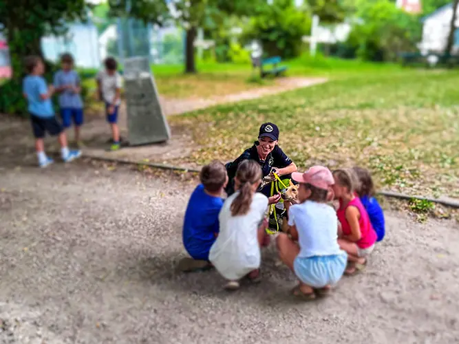 RDA zu Besuch im Hort: Podenco Andaluz Lassi genießt die Aufmerksamkeit in mitten einer Gruppe von Kindern.