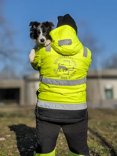 Dürfen wir vorstellen? RDA-Nachwuchs Border Collie Cash!