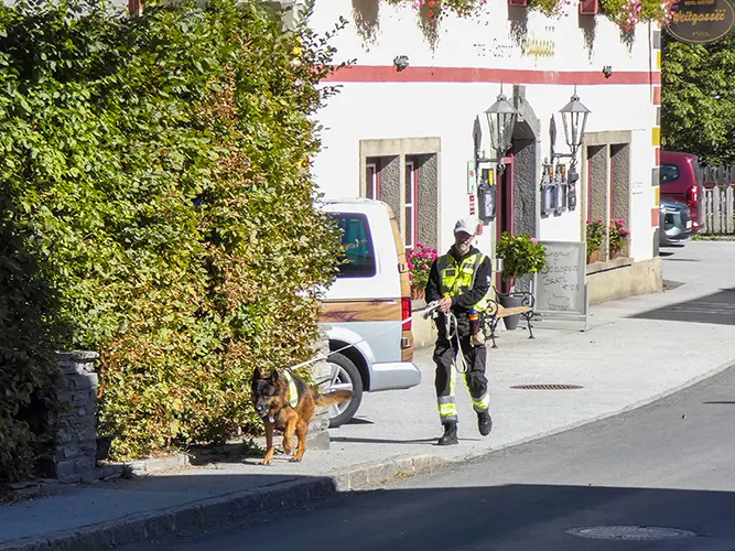 Trainingstage im Lungau: Schäferhund Aragorn motiviert bei der Suche.