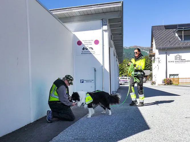 Trainingstage im Lungau: Border Collie Cash hat die Person natürlich gefunden und bekommt eine Belohnung.