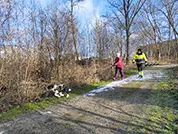 Hund und Mensch haben gemeinsam Spaß an der Suche.