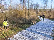 Das Tervueren-Mädchen hat die versteckte Person gefunden!